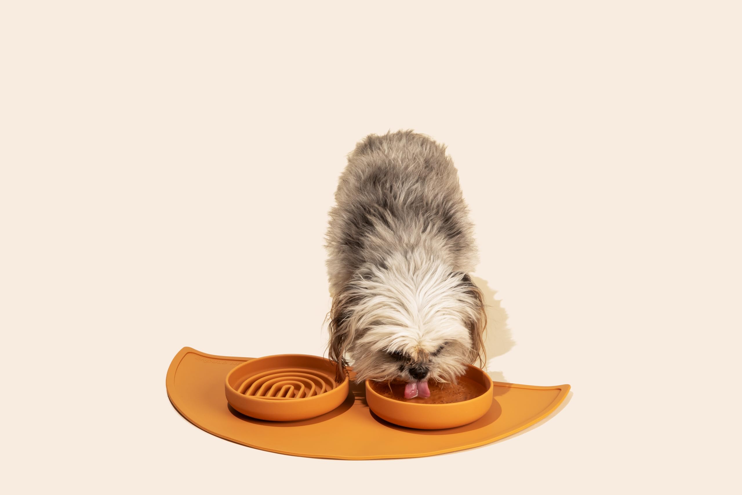 Should We Go? Spruce Silicone Dog Bowl – 2 Cup No-Spill, Suction Cup, Dishwasher Safe