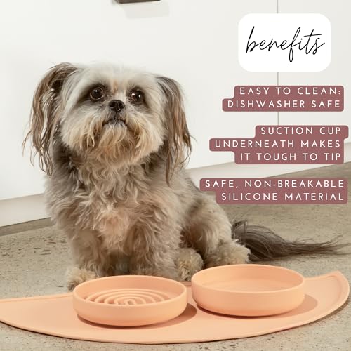 Should We Go? Spruce Silicone Dog Bowl – 2 Cup No-Spill, Suction Cup, Dishwasher Safe