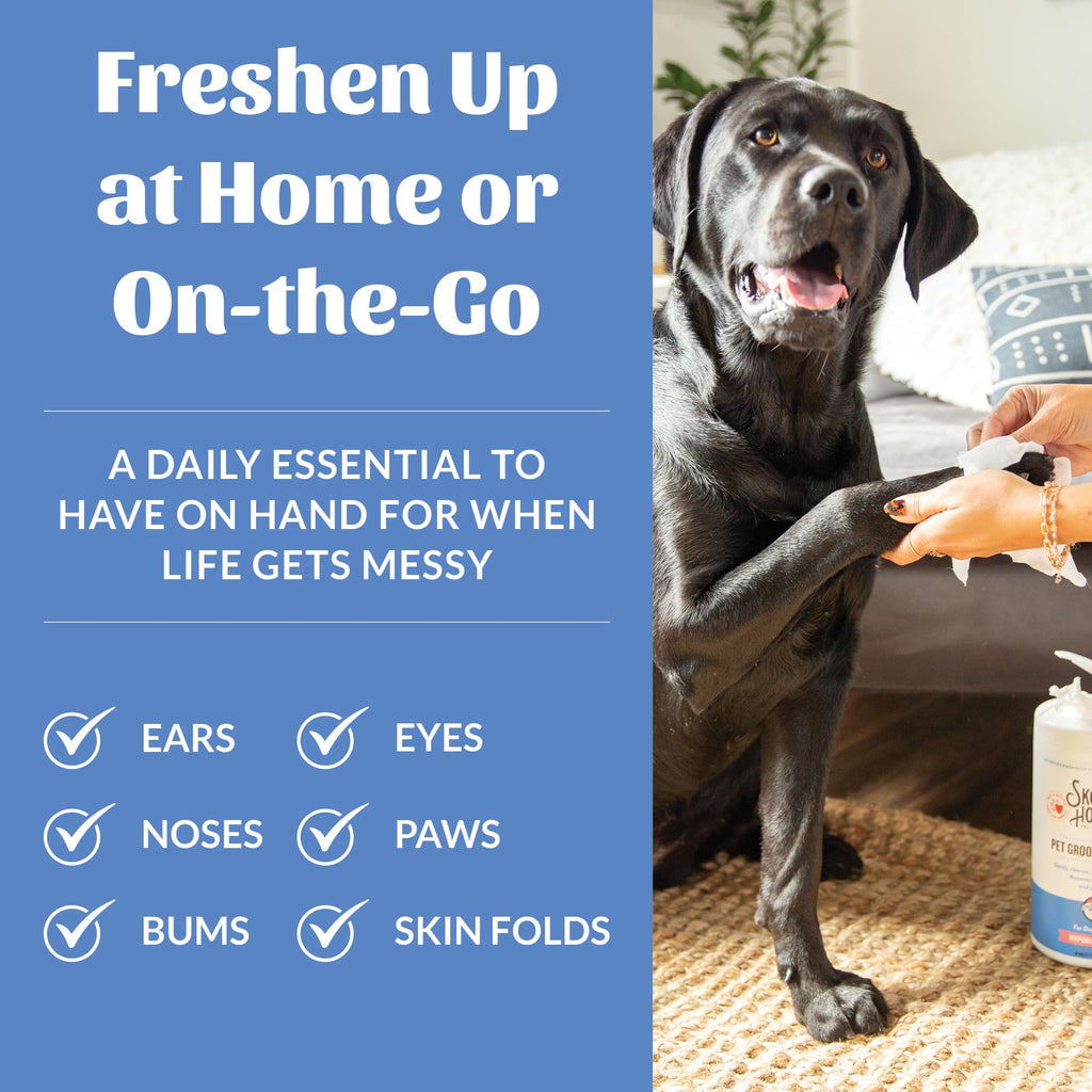 SKOUT'S HONOR Pet Grooming Wipes – Fragrance-Free, Plant-Based & Biodegradable (80 Count)