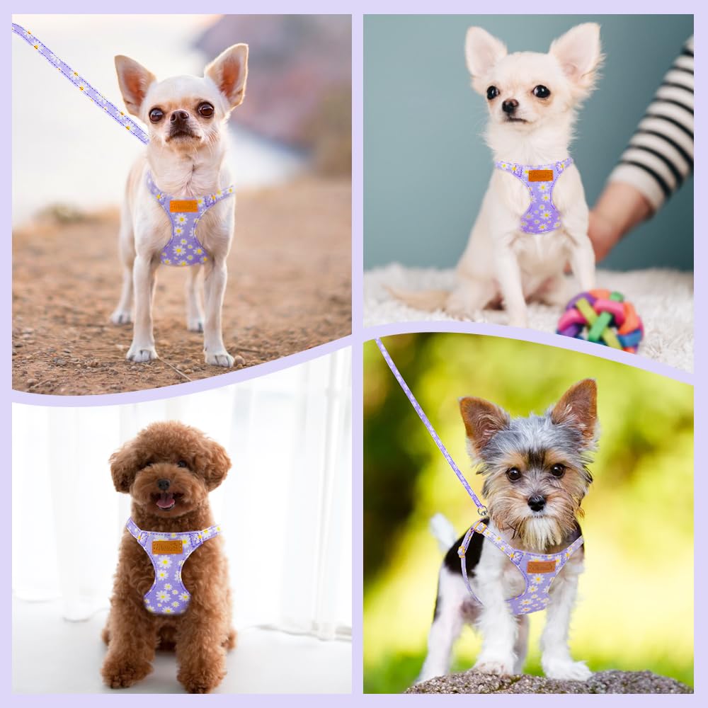 SlowTon Dog Harness for Small Dogs - XS Purple Daisy, Ultra-Light 0.9oz No-Pull Step-In Harness with Leash