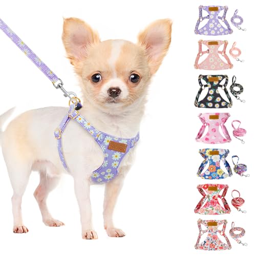 SlowTon Dog Harness for Small Dogs - XS Purple Daisy, Ultra-Light 0.9oz No-Pull Step-In Harness with Leash