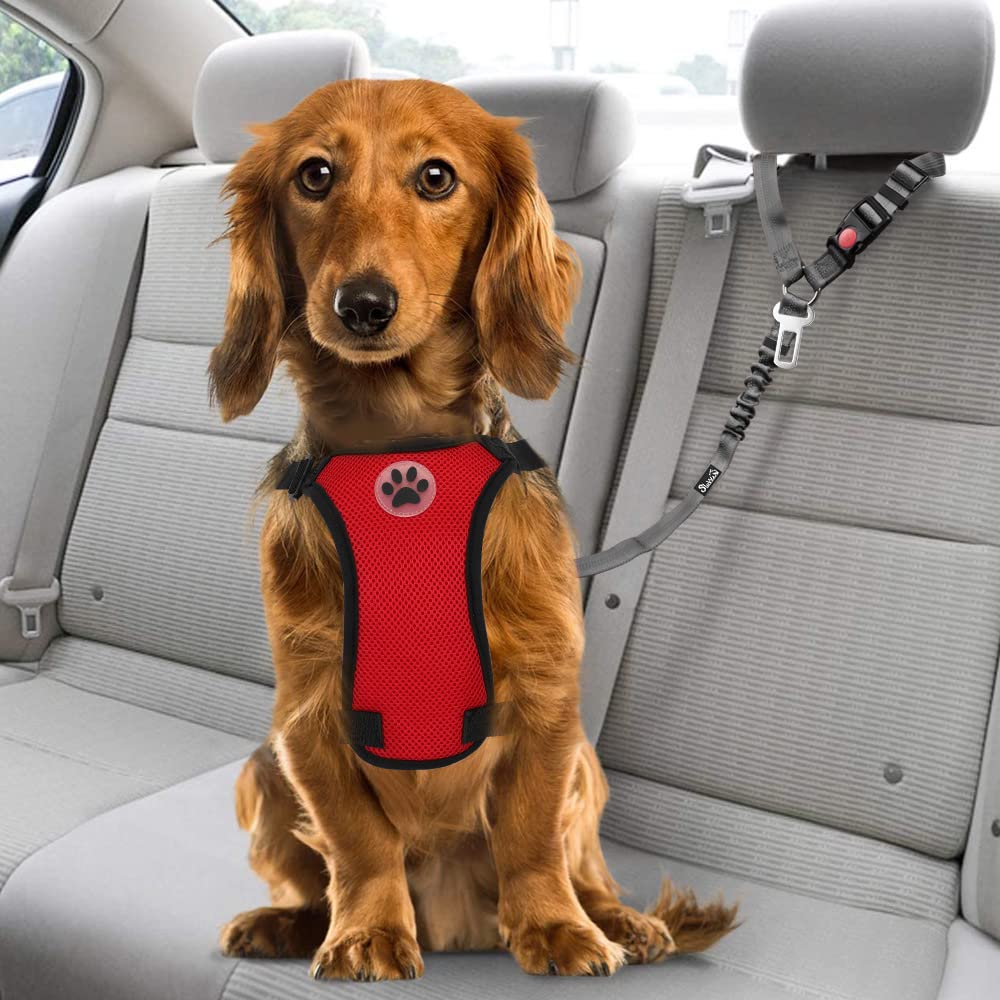 SlowTon Dog Seat Belt for Car - 2 Pack Adjustable Headrest Restraint with Elastic Bungee, Reflective Safety Tether for Dogs (Grey)