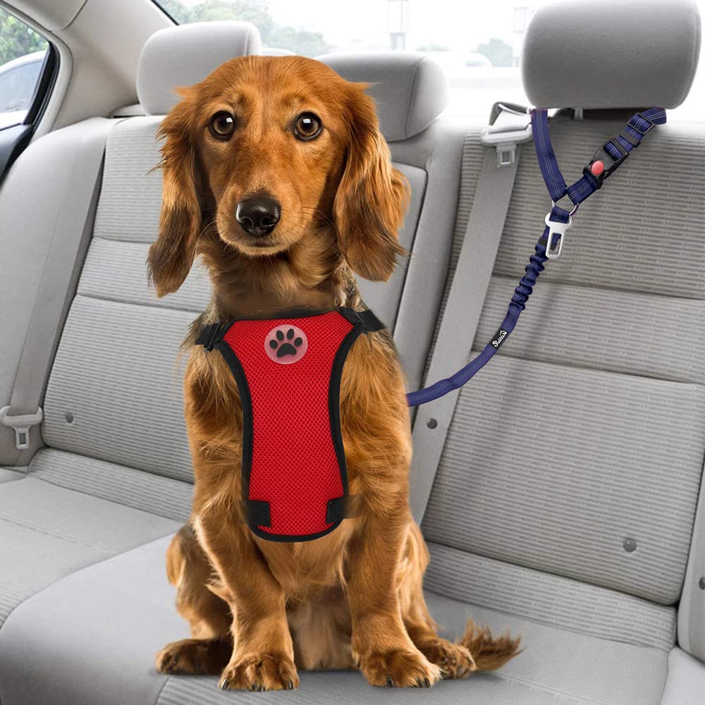 SlowTon Dog Seat Belt for Car (2 Pack) - Adjustable, Elastic Bungee, Reflective Safety Tether for Headrest or Clip - Blue