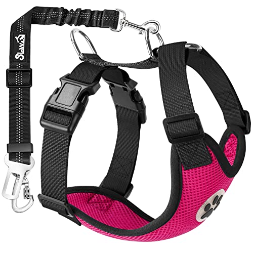 SlowTon Dog Seat Belt Harness for Car - Fuchsia Double Clip Medium, Mesh Breathable & Elastic Bungee Tether for Small to Medium Dogs