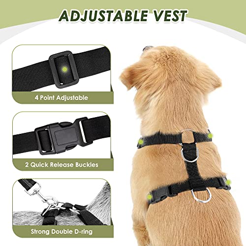 SlowTon Dog Seat Belt Harness for Car - Fuchsia Double Clip Medium, Mesh Breathable & Elastic Bungee Tether for Small to Medium Dogs