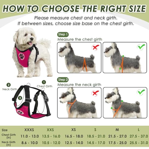 SlowTon Dog Seat Belt Harness for Car - Fuchsia Double Clip Medium, Mesh Breathable & Elastic Bungee Tether for Small to Medium Dogs