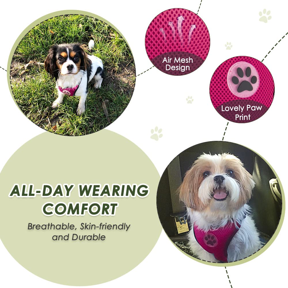SlowTon Dog Seat Belt Harness for Car - Fuchsia Double Clip Medium, Mesh Breathable & Elastic Bungee Tether for Small to Medium Dogs