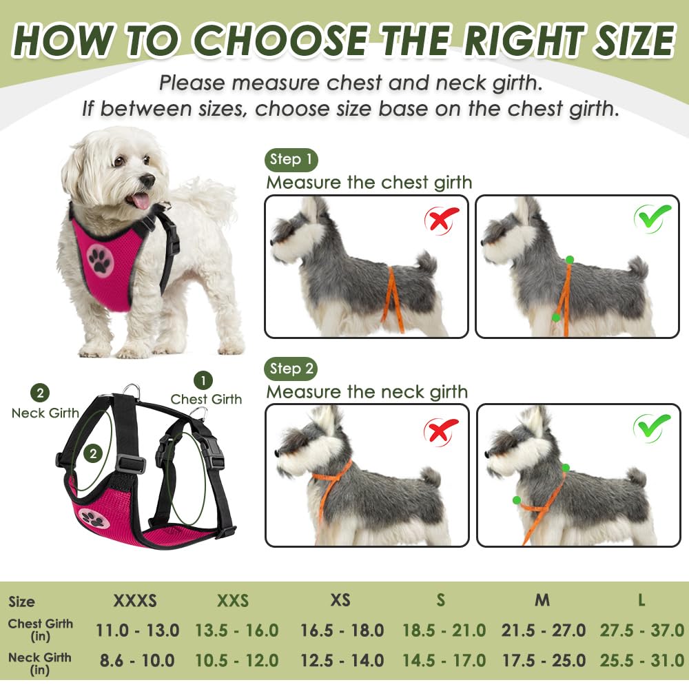 SlowTon Dog Seat Belt Harness for Car - Fuchsia Double Clip Medium, Mesh Breathable & Elastic Bungee Tether for Small to Medium Dogs