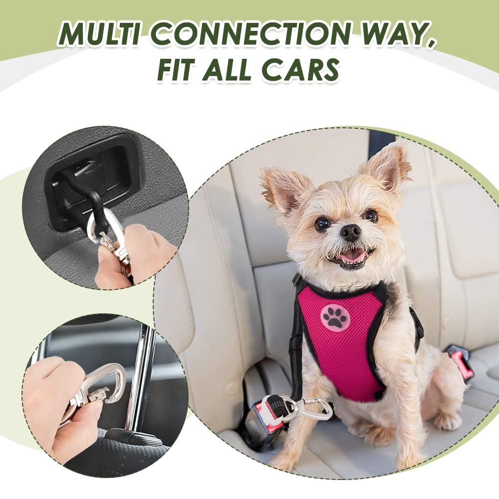 SlowTon Dog Seat Belt Harness for Car - Fuchsia Double Clip Medium, Mesh Breathable & Elastic Bungee Tether for Small to Medium Dogs