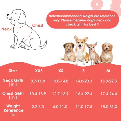 SlowTon Pink Daisy No Pull Dog Harness with Leash - Ultra-Lightweight XXS for Small Dogs 2.2-6 lb