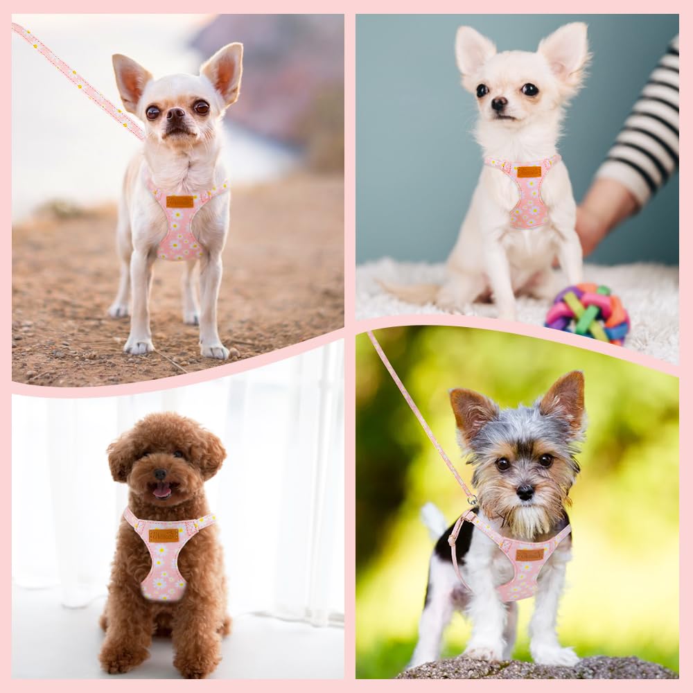 SlowTon Pink Daisy No Pull Dog Harness with Leash - Ultra-Lightweight XXS for Small Dogs 2.2-6 lb