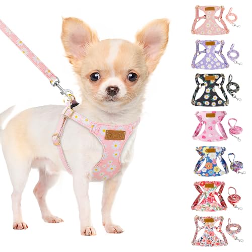 SlowTon Pink Daisy No Pull Dog Harness with Leash - Ultra-Lightweight XXS for Small Dogs 2.2-6 lb
