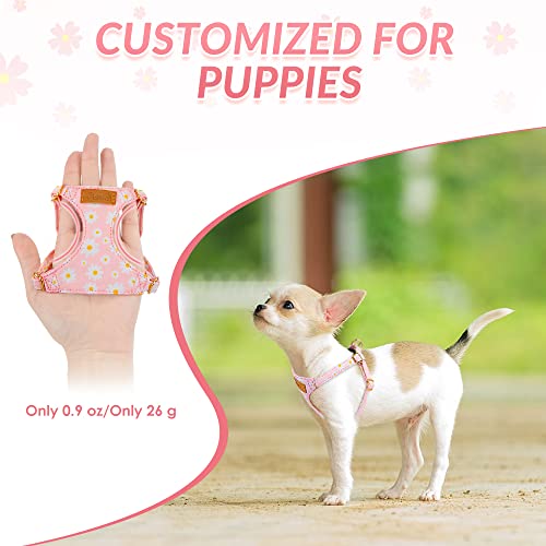 SlowTon Pink Daisy No Pull Dog Harness with Leash - Ultra-Lightweight XXS for Small Dogs 2.2-6 lb