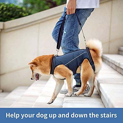Small Dog Lift Harness for Senior or Disabled Dogs - Full Body Support with Adjustable Strap - Yellow Vest by ACDOK