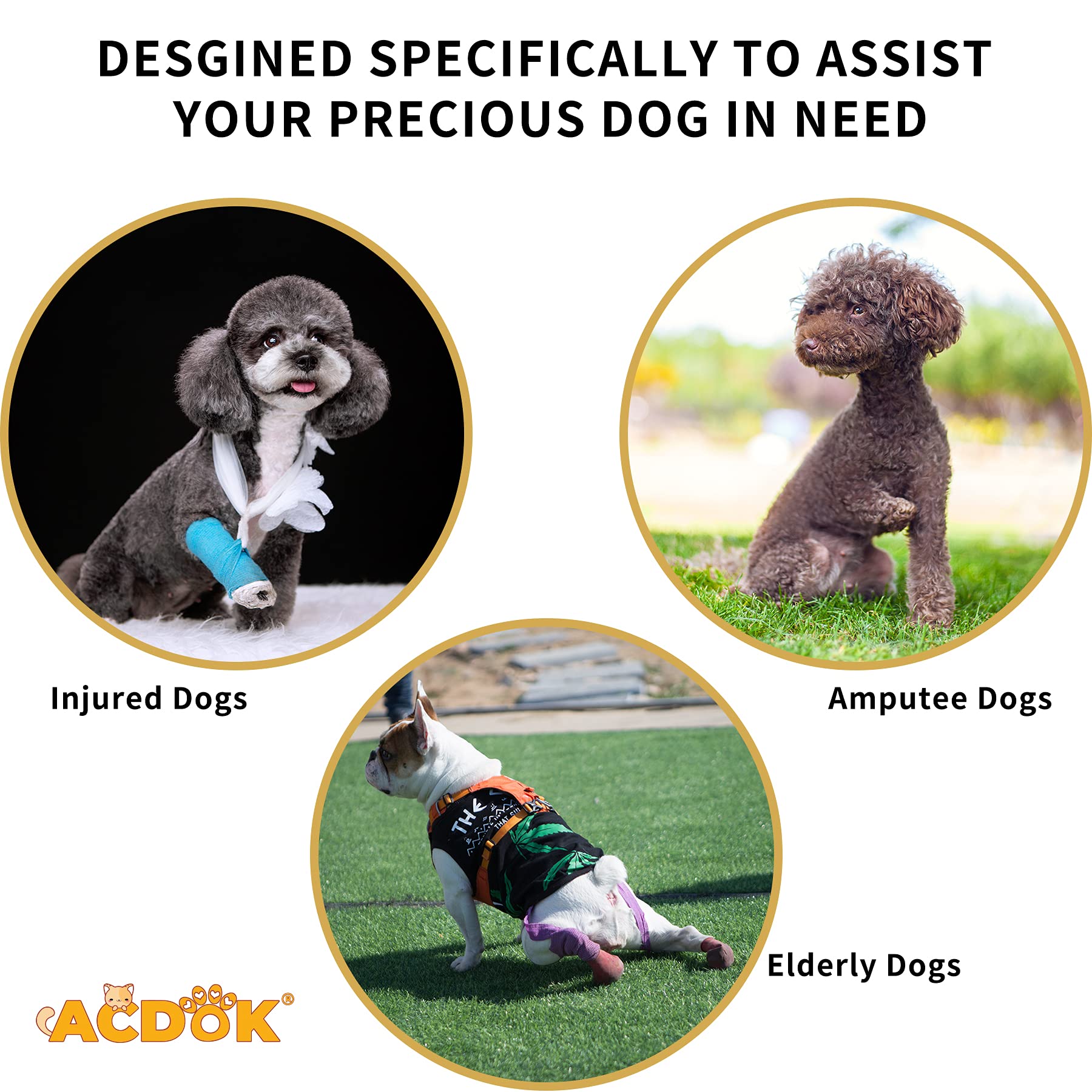 Small Dog Lift Harness for Senior or Disabled Dogs - Full Body Support with Adjustable Strap - Yellow Vest by ACDOK