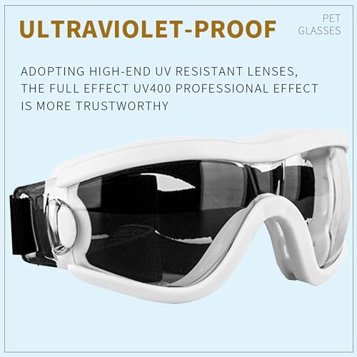 Small Dog Sunglasses with UV Protection & Adjustable Strap – Windproof Goggles for Tiny Breeds