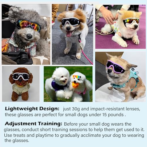 Small Dog Sunglasses with UV Protection & Adjustable Strap – Windproof Goggles for Tiny Breeds