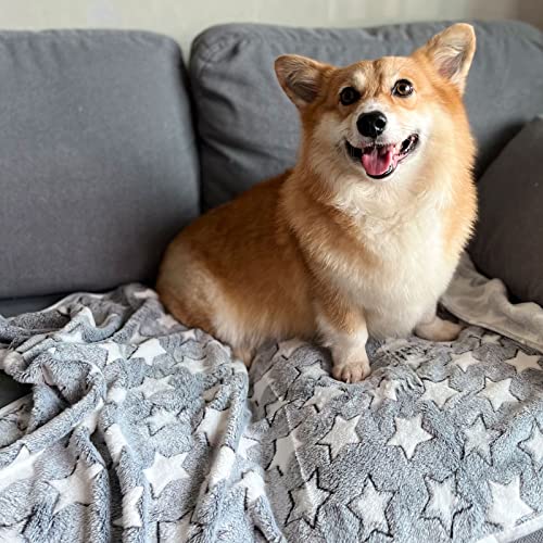 SORKUT Pack of 3 Soft Fleece Pet Blankets – Star Print, Machine Washable, 29x20 Inch Medium for Small Dogs and Cats