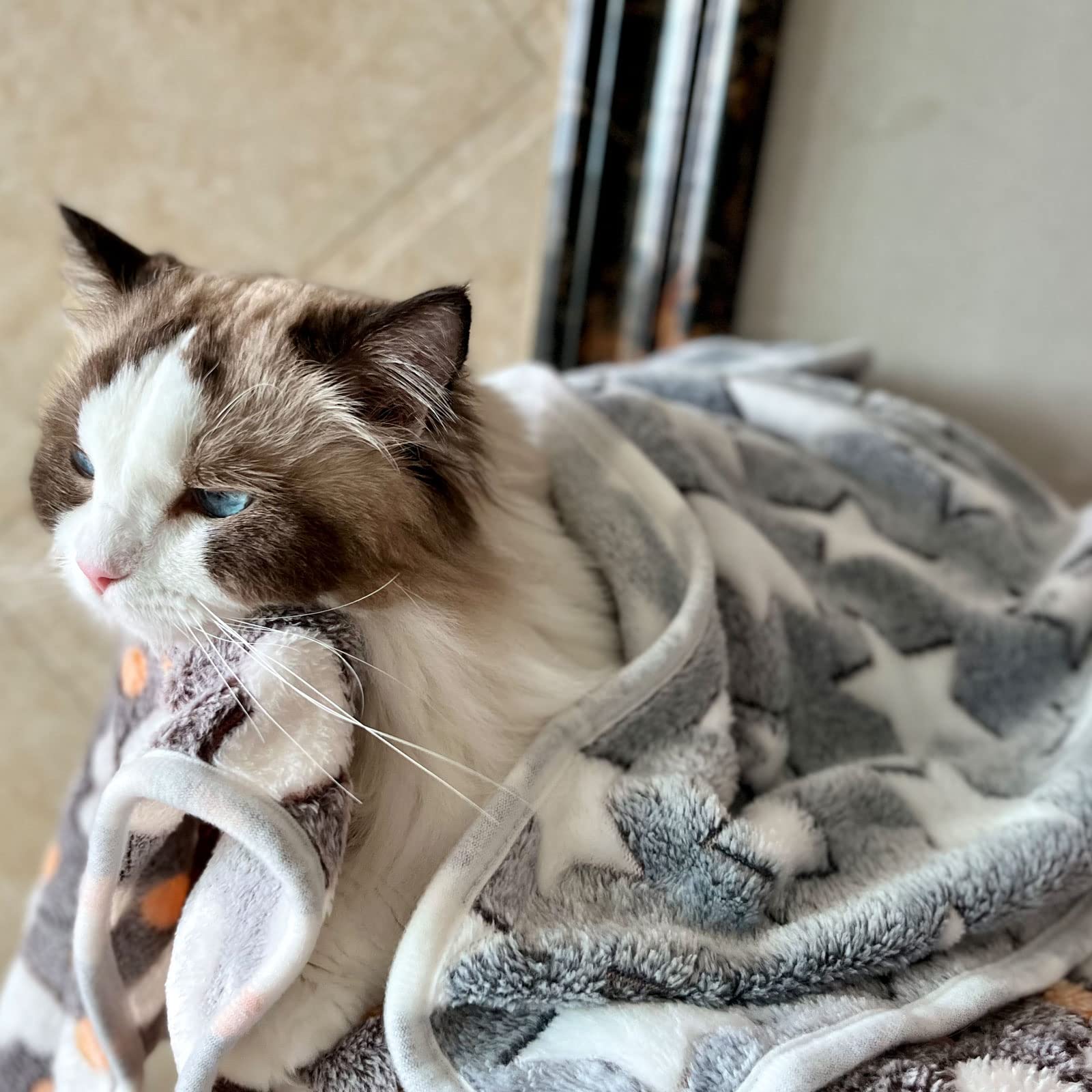 SORKUT Pack of 3 Soft Fleece Pet Blankets – Star Print, Machine Washable, 29x20 Inch Medium for Small Dogs and Cats