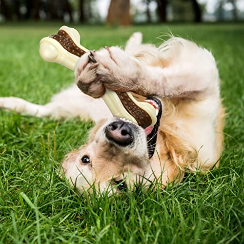 Sosation 3-Pack Beef-Flavored Nylon Chew Bones for Aggressive Chewers - Medium Size