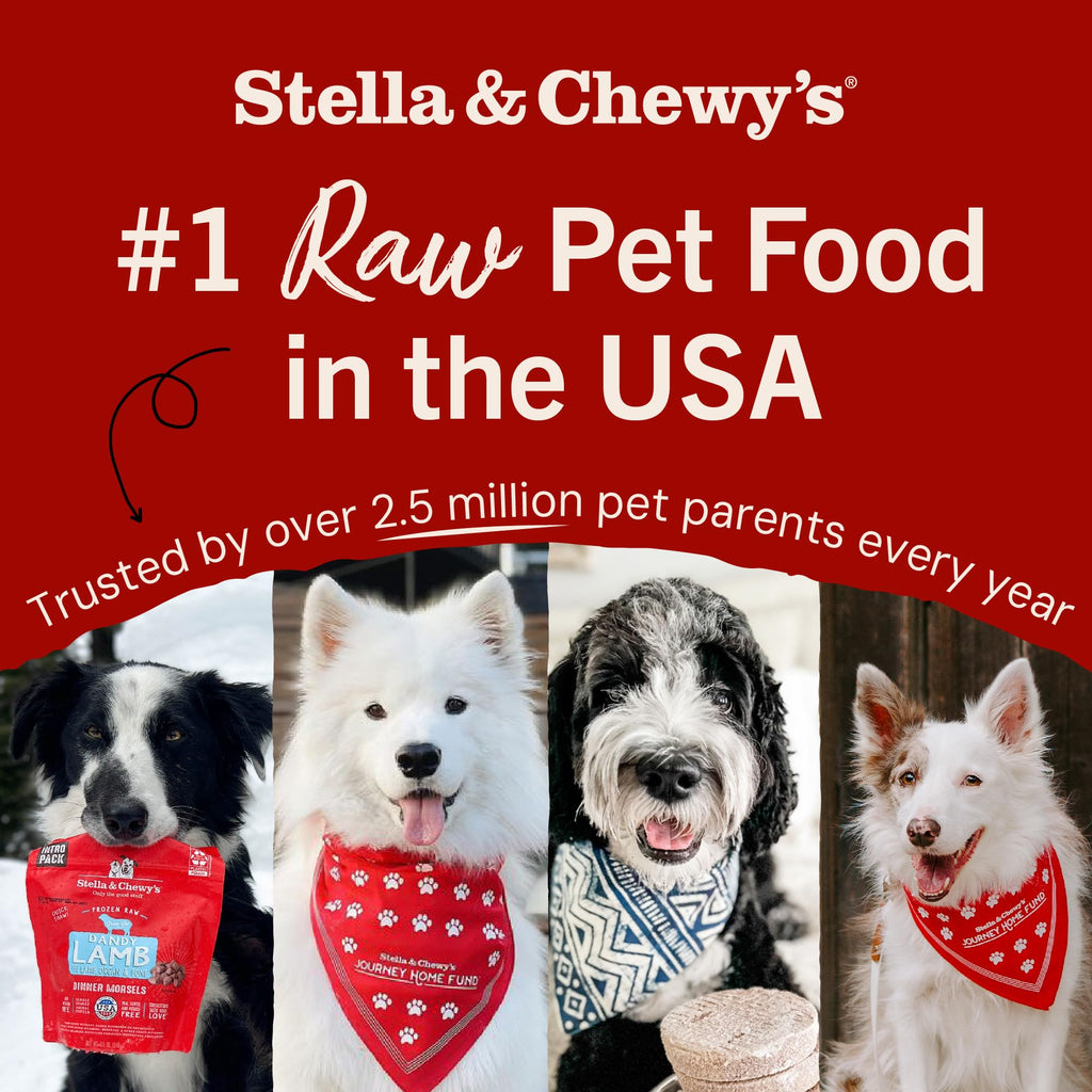 Stella & Chewy's Freeze-Dried Raw Dinner Patties - Red Meat Blend - 5.5 oz for Dogs