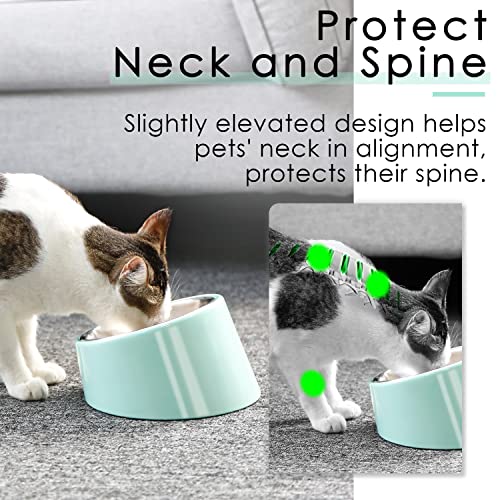 SuperDesign Mess Free 15° Slanted Bowl for Dogs and Cats – Non-Skid Tilted Feeder, 0.5 Cup Capacity, Teal