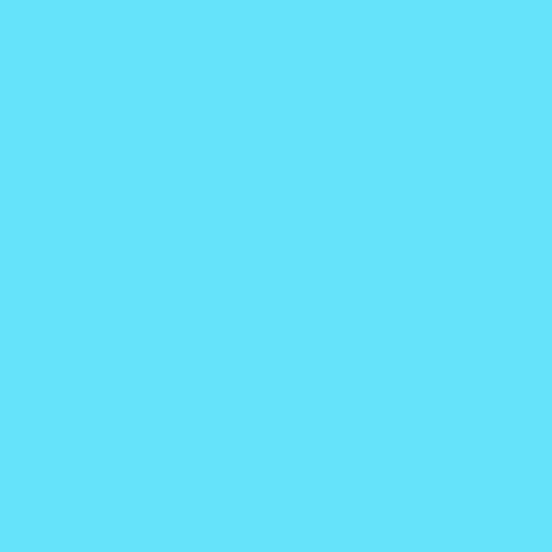 vimg::11