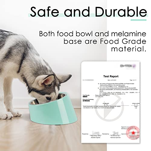 SuperDesign Mess Free 15° Slanted Bowl for Dogs and Cats – Non-Skid Tilted Feeder, 0.5 Cup Capacity, Teal