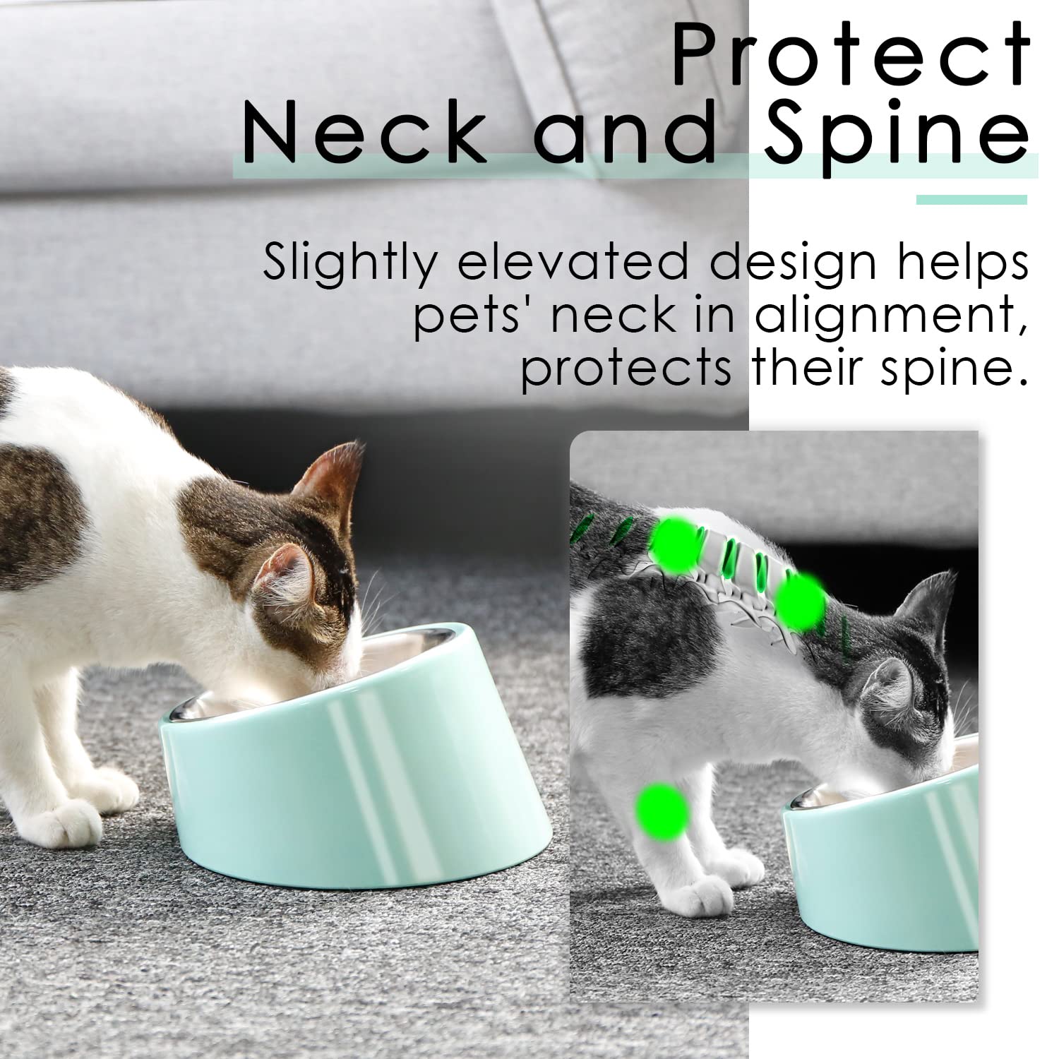 SuperDesign Mess Free 15° Slanted Bowl for Dogs and Cats – Non-Skid Tilted Feeder, 0.5 Cup Capacity, Teal
