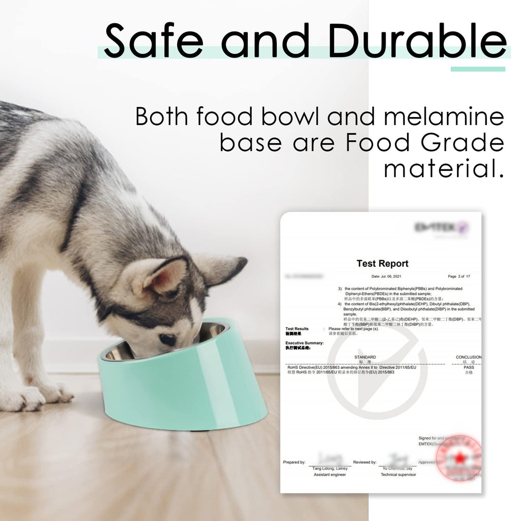 SuperDesign Mess Free 15° Slanted Bowl for Dogs and Cats – Non-Skid Tilted Feeder, 0.5 Cup Capacity, Teal