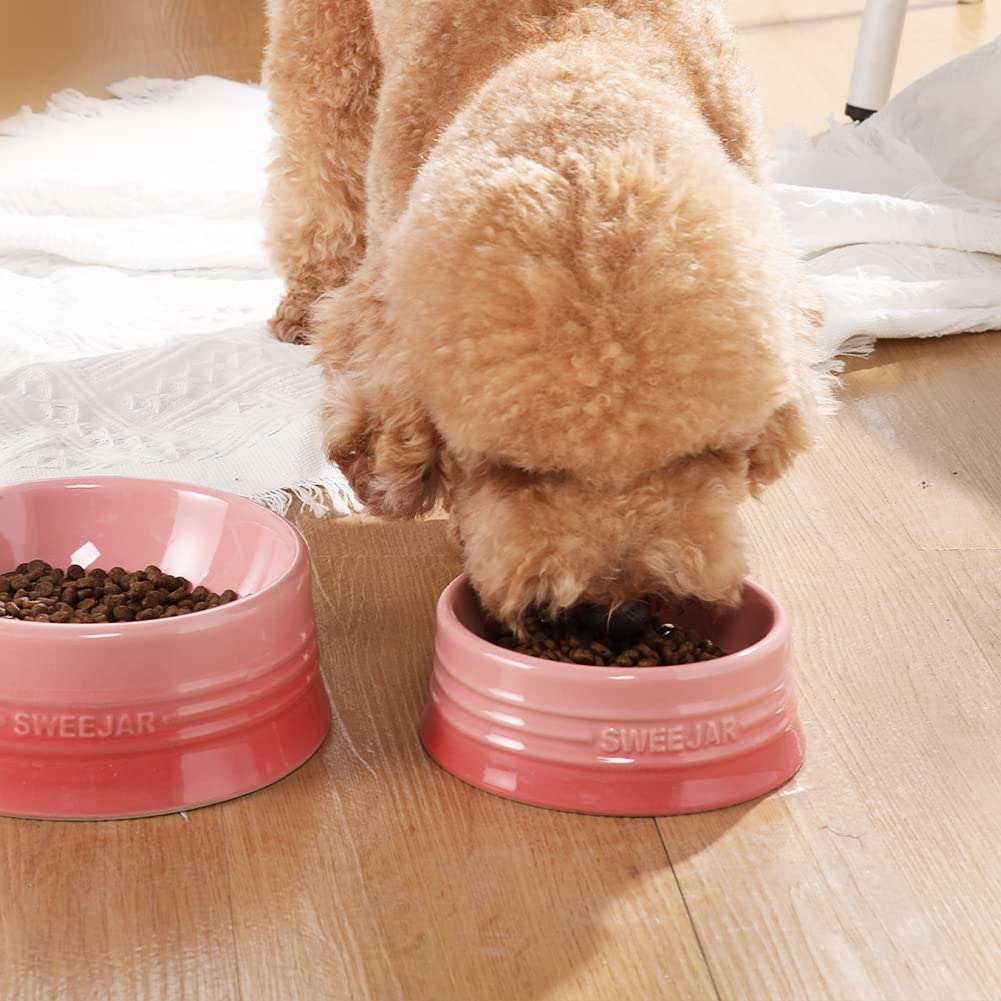 Sweejar Gradient Dog Bowl – Small 8 oz Ceramic Pet Dish for Puppies and Kittens in Gradient Pink