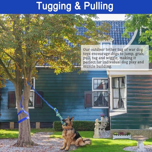 SYOOY Dog Bungee Tug Toy Outdoor Hanging Rope for Small Medium Large Dogs Blue