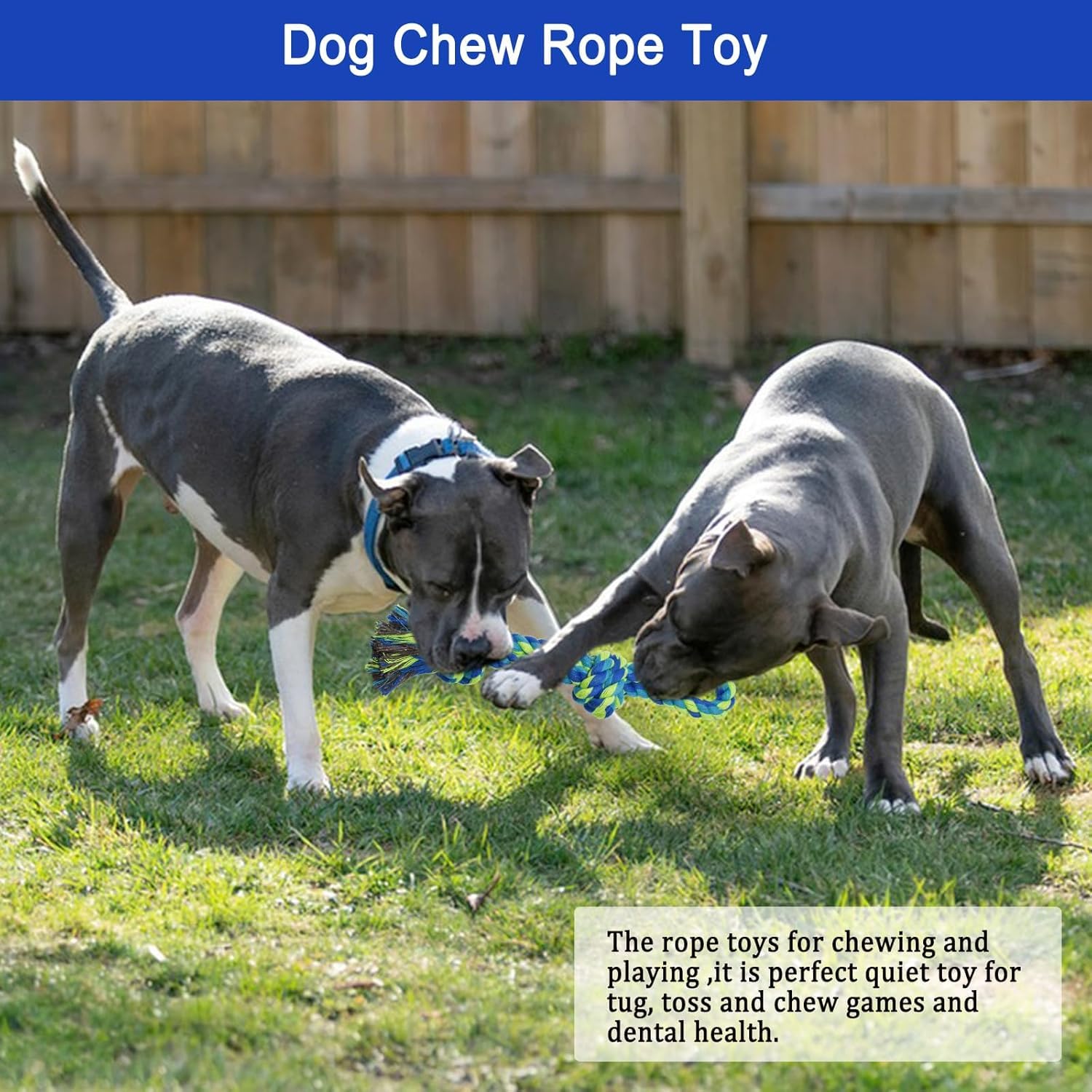 SYOOY Dog Bungee Tug Toy Outdoor Hanging Rope for Small Medium Large Dogs Blue