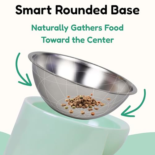 Tafelf 15° Slanted Dog Bowl for Brachycephalic & Senior Dogs, Stainless Steel with Melamine Stand, Green, Medium (420ml)