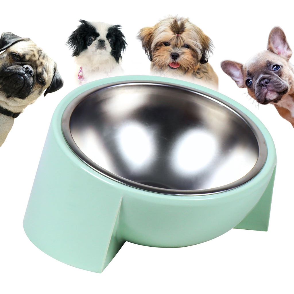 Tafelf 15° Slanted Dog Bowl for Brachycephalic & Senior Dogs, Stainless Steel with Melamine Stand, Green, Medium (420ml)