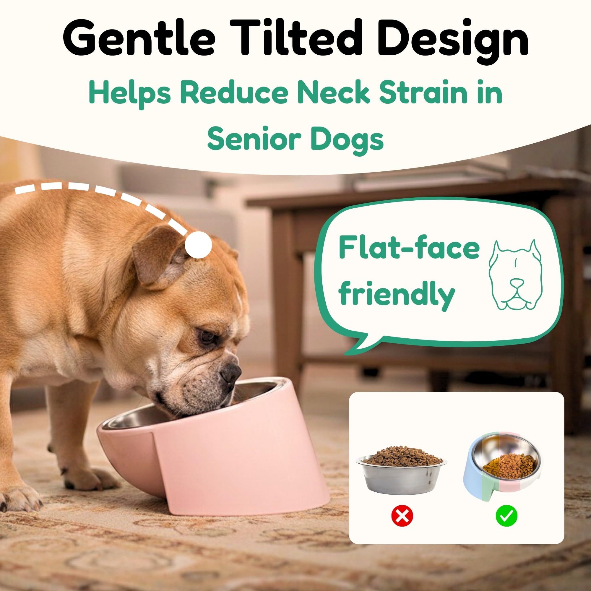 Tafelf 15° Slanted Dog Bowl for Brachycephalic & Senior Dogs, Stainless Steel with Melamine Stand, Green, Medium (420ml)
