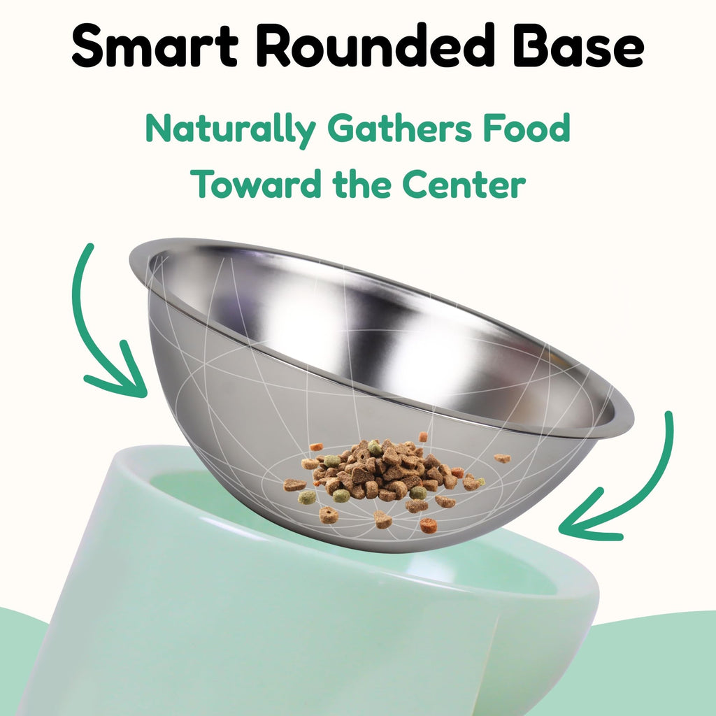Tafelf 15° Slanted Dog Bowl for Brachycephalic & Senior Dogs, Stainless Steel with Melamine Stand, Green, Medium (420ml)