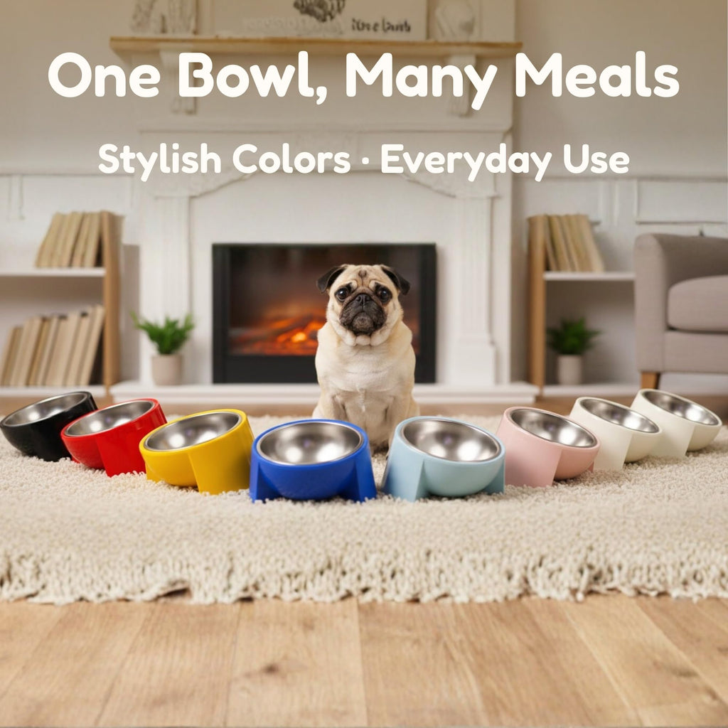 Tafelf 15° Slanted Dog Bowl for Brachycephalic & Senior Dogs, Stainless Steel with Melamine Stand, Green, Medium (420ml)
