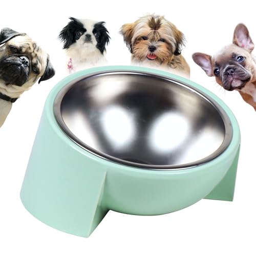 Tafelf 15° Slanted Dog Bowl for Brachycephalic & Senior Dogs, Stainless Steel with Melamine Stand, Green, Medium (420ml)