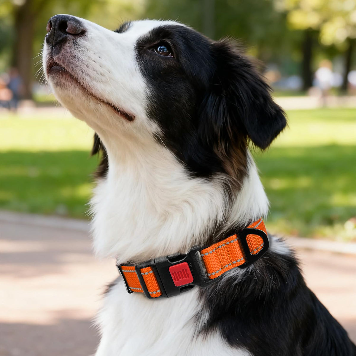 Taglory Reflective Dog Collar for Medium Dogs - Neoprene Padded with Locking Buckle, Orange, Size M