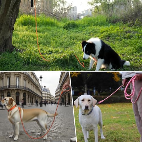 Tairro Heavy Duty Reflective Dog Training Leash 30FT – High-Strength Nylon Rope for Large Dogs, Outdoor Walking and Camping