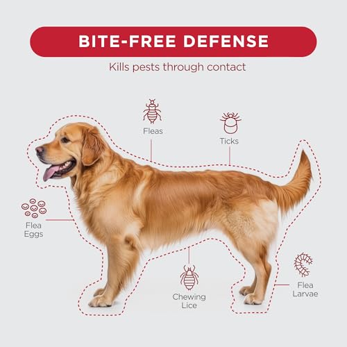 TevraPet FirstAct Plus Flea Treatment for Extra Large Dogs (89+ lbs) – 3 Doses, Fipronil-Based, Same Active Ingredients as Frontline Plus