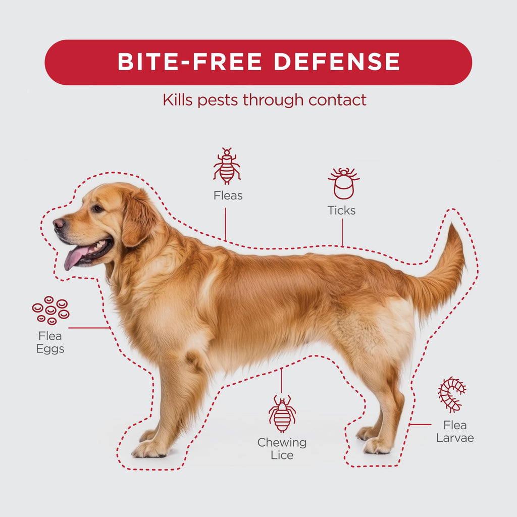 TevraPet FirstAct Plus Flea Treatment for Extra Large Dogs (89+ lbs) – 3 Doses, Fipronil-Based, Same Active Ingredients as Frontline Plus
