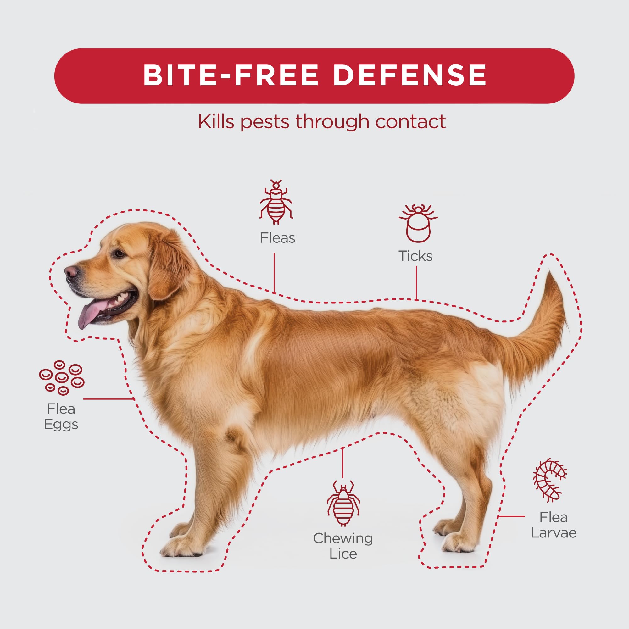 TevraPet FirstAct Plus Flea Treatment for Extra Large Dogs (89+ lbs) – 3 Doses, Fipronil-Based, Same Active Ingredients as Frontline Plus