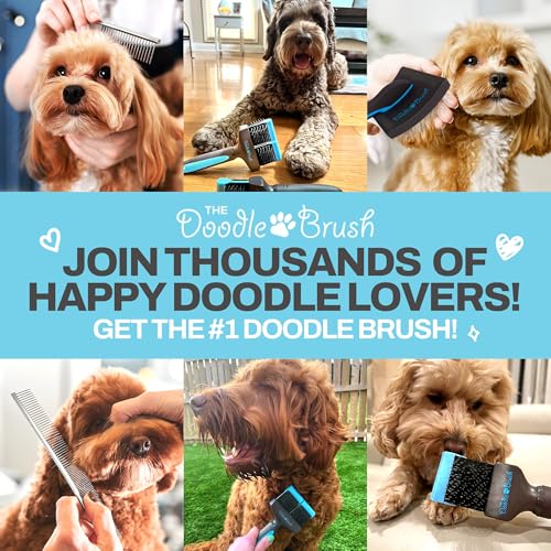 The Doodle Brush Stainless Steel Dog Comb for Detangling Mats & Tangles – Medium, for Poodles, Labradoodles & More