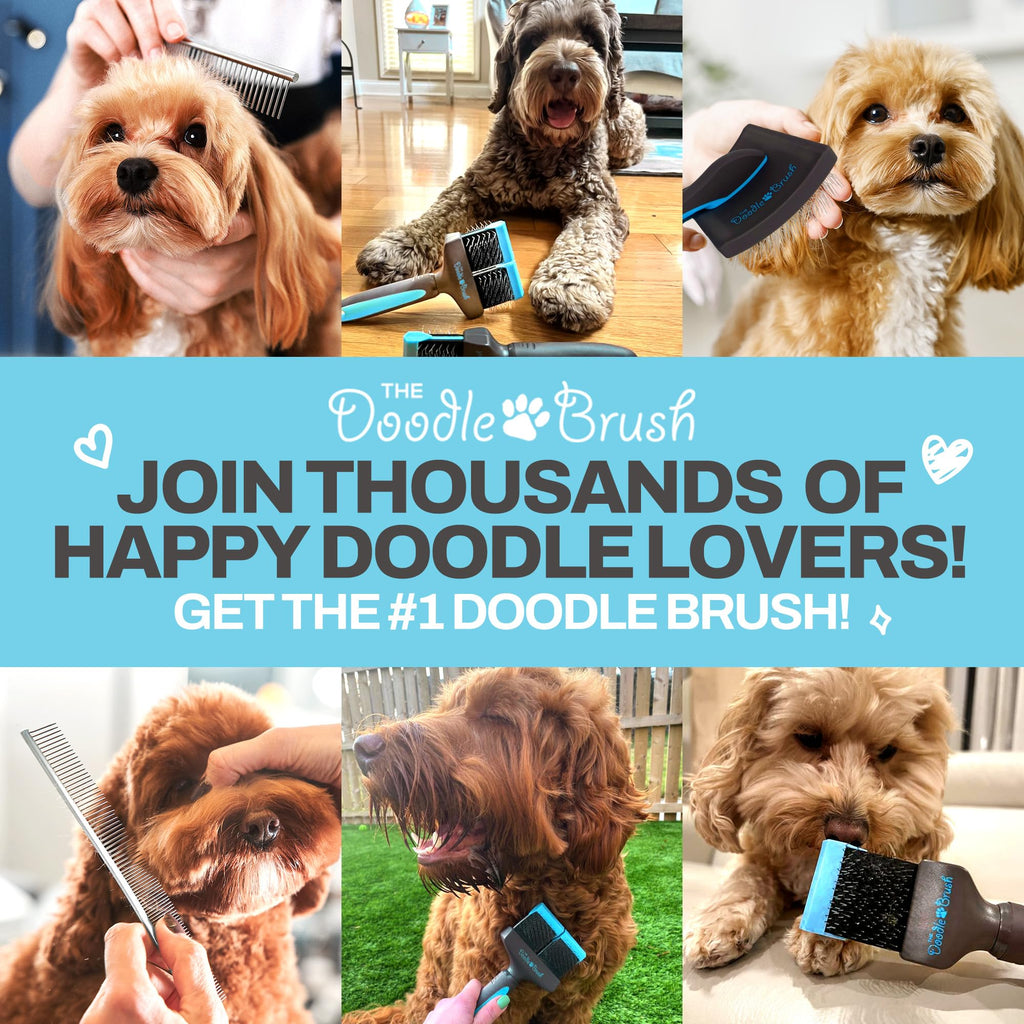 The Doodle Brush Stainless Steel Dog Comb for Detangling Mats & Tangles – Medium, for Poodles, Labradoodles & More