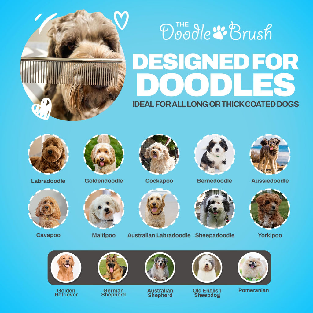 The Doodle Brush Stainless Steel Dog Comb for Detangling Mats & Tangles – Medium, for Poodles, Labradoodles & More