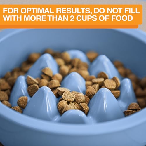 The Niner Slow Feed Bowl by Neater Pet Brands - Blue, Anti-Gulping Design with Nine Peaks, Fits Large Neater Feeders, Holds 2 Cups, Dishwasher Safe