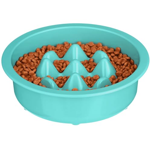 The Niner Slow Feed Bowl in Aquamarine – Nine Peaks Slow Eating, Fits Neater Feeder Large, Holds 2 Cups