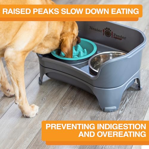 The Niner Slow Feed Bowl in Aquamarine – Nine Peaks Slow Eating, Fits Neater Feeder Large, Holds 2 Cups